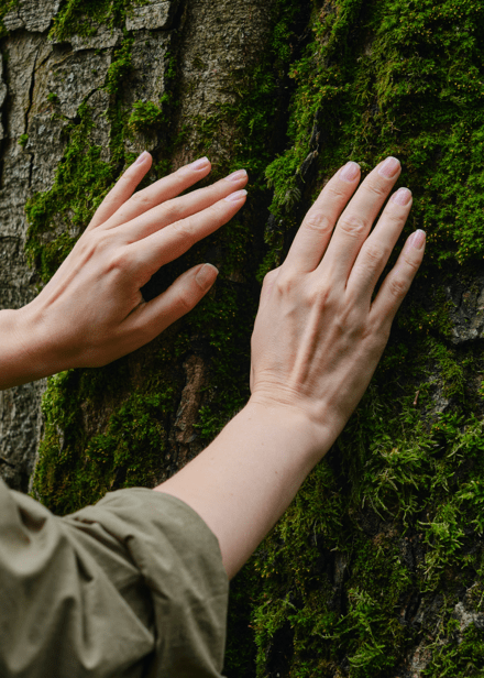 Agua Luso Sustentabilidade Ambiental