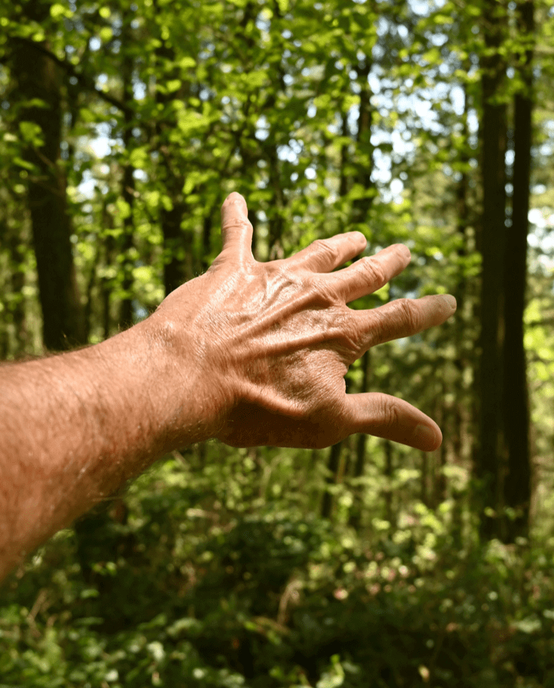 Sustentabilidade Agua Luso