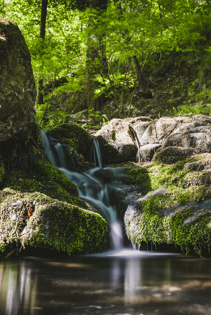 Origem Agua Luso