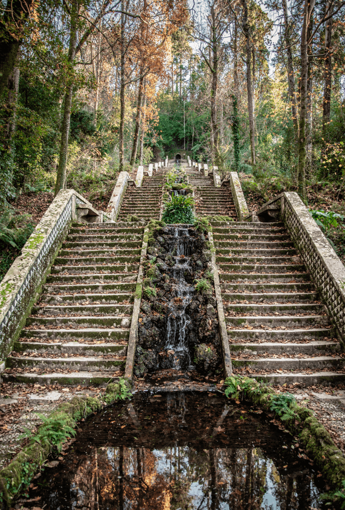 Escadaria Serra Bussaco Agua Mineral Luso